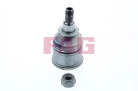 ACCORD 03-08 PIN /L+R/