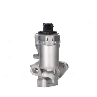 AGR-Ventilbrücke 2.2 HDI 06-