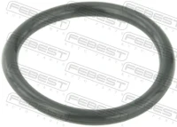 AUDI KÜHLSYSTEM DICHTRING