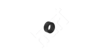DICHTRING