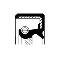 DICHTRING /80 98 10/ KURBELWELLE/H/