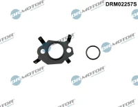 DICHTUNGSSATZ FÜR AGR-SYSTEM PEUGEOT 308 14-