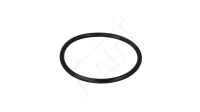 DROSSELKLAPPEN-O-RING MEGANE 1.4 1.6 /KLEIN