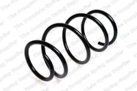 FHRW.FEDER/V/BMW 5/E39/ 95-04 /AUT