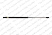 Gasfeder,Koffer-/Laderaum.AUDI A4 04-08