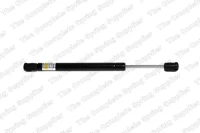 Gasfeder,Koffer-/Laderaum.AUDI A6 04-
