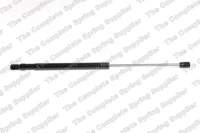 Gasfeder,Koffer-/Laderaum.AUDI Q5 08-