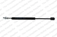Gasfeder,Koffer-/Laderaum.CITROEN C5 01-
