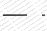 Gasfeder,Koffer-/Laderaum.DUSTER 10-