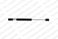 Gasfeder,Koffer-/Laderaum.P407 04-