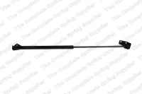 Gasfeder,Koffer-/Laderaum.WAGON 98-00 /R