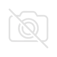 IN.RAUMLUFTFIL. ROVER 25.200.400 96-