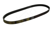 KEILRIPPENRIEMEN/ 5PK/890