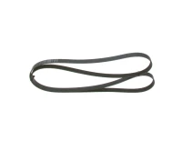 KEILRIPPENRIEMEN/ 6PK/2175