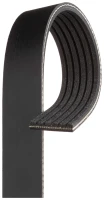 KEILRIPPENRIEMEN/ 6PK/2203