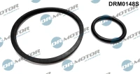 Kühlerdichtung oliv FIAT 2.3JTD /Satz