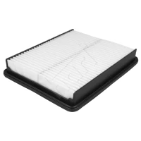 LUFTFILTER KIA SORENTO 2.4WT 09-