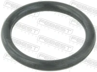O-Ring Wasserschlauch Megane 1.2 1.4 1.6