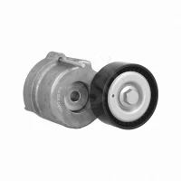 RIEMENSPANNER BRAVO II 1.6D 08-
