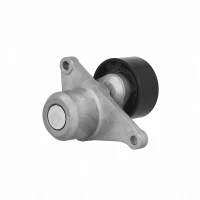RIEMENSPANNER SCENIC 2.0DCI 05-