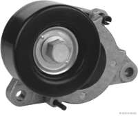 SPANNROLLE BELT PATHFINDER 2.5D 10-