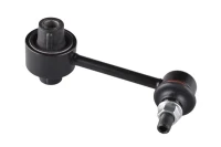 STANGE/STREBE/H/FORESTER 08-