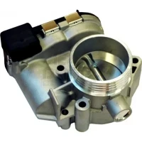 STEUER/DROSSELKAPPE C3 1.6 02-