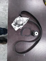 Steuerzeiten-Kit C8 2.0 HDI 02- //Ausgang/
