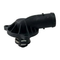 THERMOSTAT AUDI A4 3.0TDI 06-09