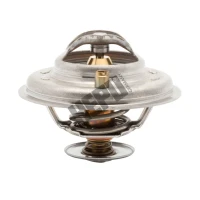 THERMOSTAT BMW 3/E36/ 318TDS