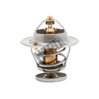 THERMOSTAT CUORE 1.0 98-07 /82/