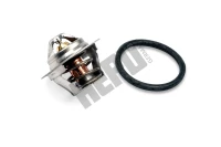 Thermostat Duster, Logan, Clio, Laguna
