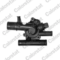 THERMOSTAT MEGANE 1.9DCI 03- /89/