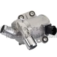 WASSERPUMPE C-MAX 2.0 13-